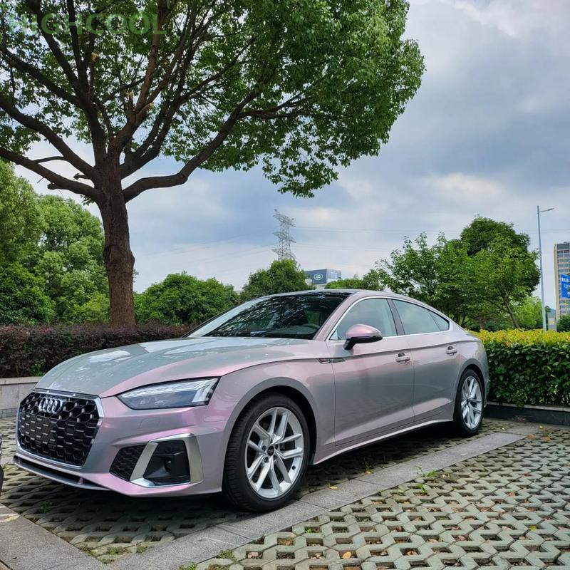 Anti Scratch Color Changing Car Wrap Vinyl Roll 